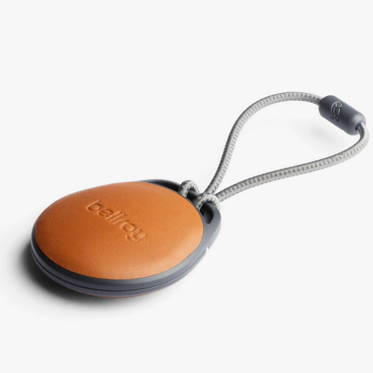 Tag Case - US 9394